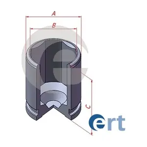 151198C ERT