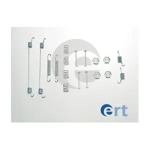 310036 ERT