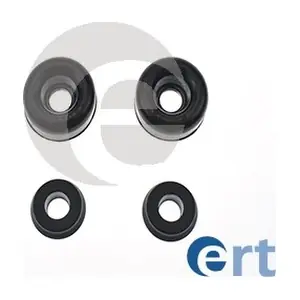 300843 ERT