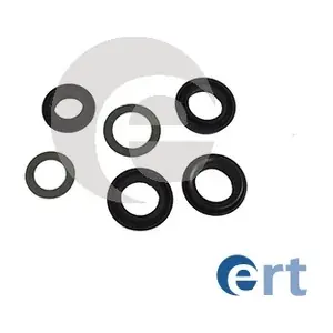 200684 ERT