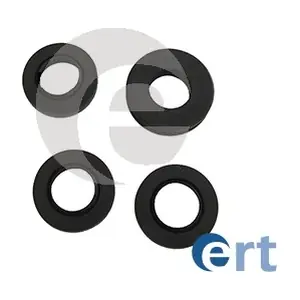200287 ERT