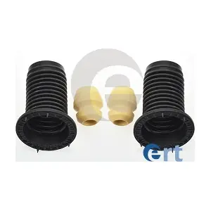 520079 ERT