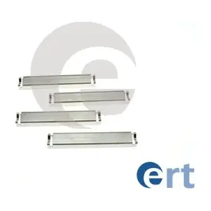 420231 ERT