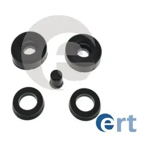 300079 ERT