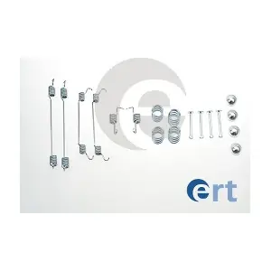 310069 ERT