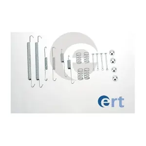 310043 ERT