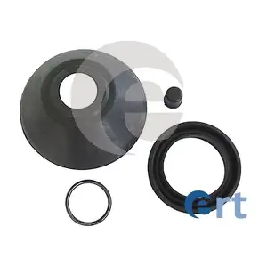 ERT 300224