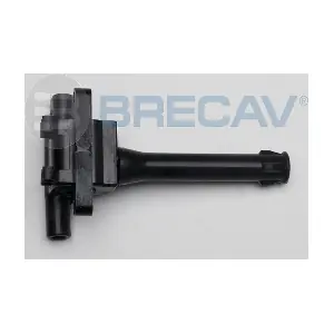 122.004 BRECAV