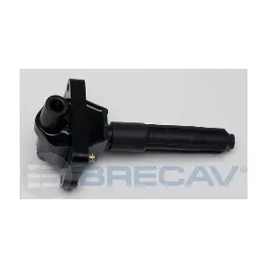 108.002E BRECAV