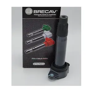 BRECAV 106.019
