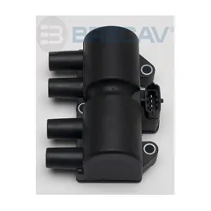 209.003 BRECAV
