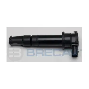 138.001 BRECAV