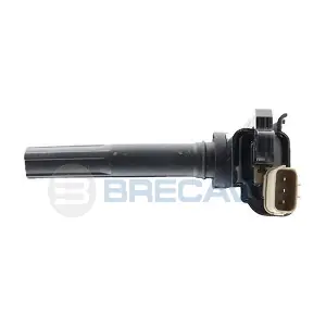 125.003 BRECAV