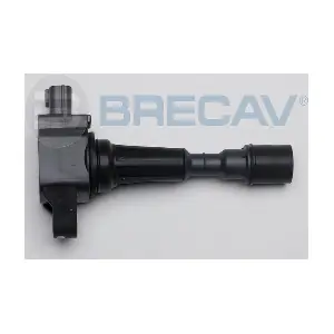 BRECAV 132.002