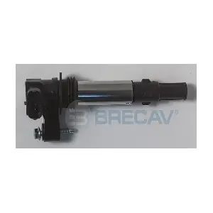 BRECAV 101.008