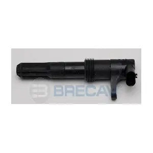 BRECAV 106.007