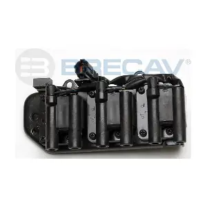 229.006 BRECAV