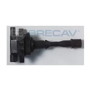 133013 BRECAV