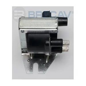BRECAV 206.006