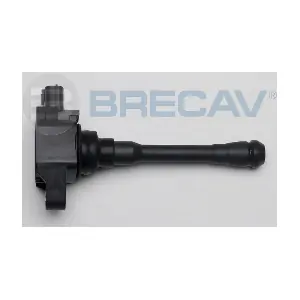 126.013 BRECAV