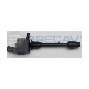 126.006 BRECAV