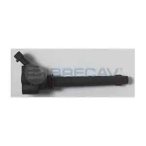 BRECAV 101.007