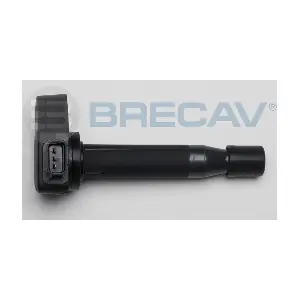 131.002 BRECAV
