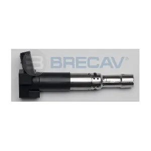 114.018 BRECAV