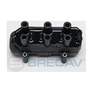 209.012 BRECAV