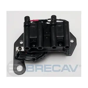 229.004 BRECAV