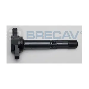 BRECAV 131.003
