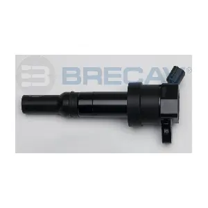 129.004 BRECAV