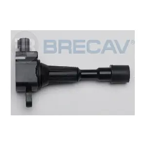 132.003 BRECAV