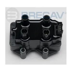 210.004 BRECAV