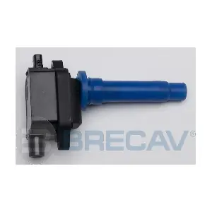 138.002 BRECAV