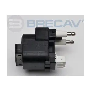 BRECAV 211.009