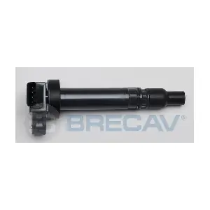BRECAV 133.006