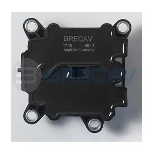 BRECAV 111.007