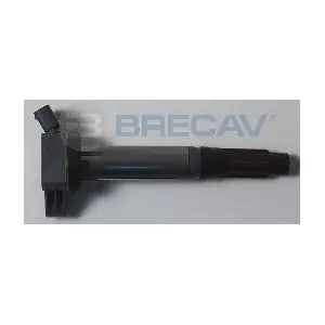 BRECAV 133.014