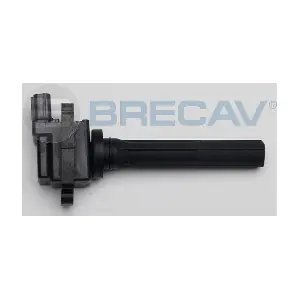 125.001 BRECAV