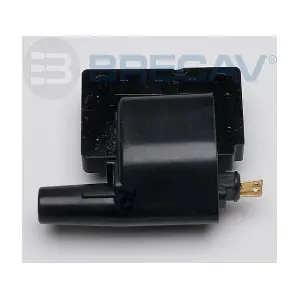 BRECAV 209.006