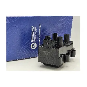 BRECAV 211.004