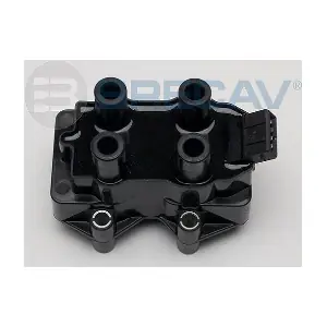 BRECAV 209.002
