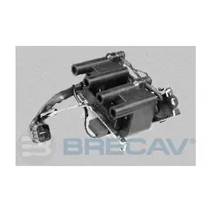 229.011 BRECAV