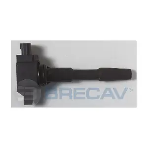BRECAV 111.010