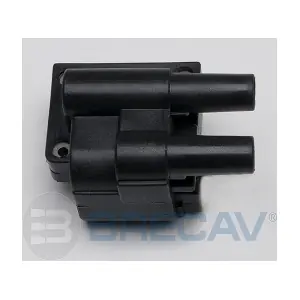 211.006E BRECAV