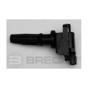 BRECAV 129.003