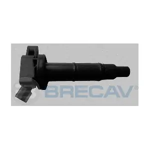 BRECAV 133.010