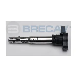 BRECAV 114.007