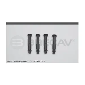 212593 BRECAV